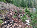 Roof of the collapsed snow shed 